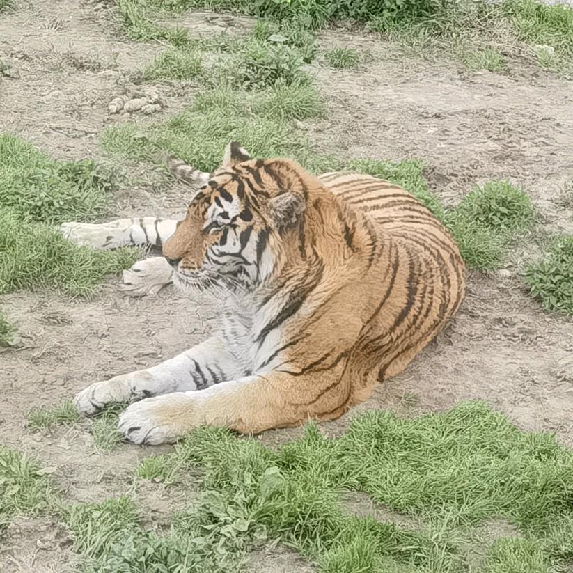 220531