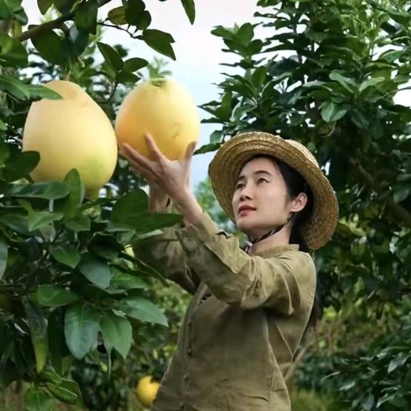 广西大玉(甄选特产)