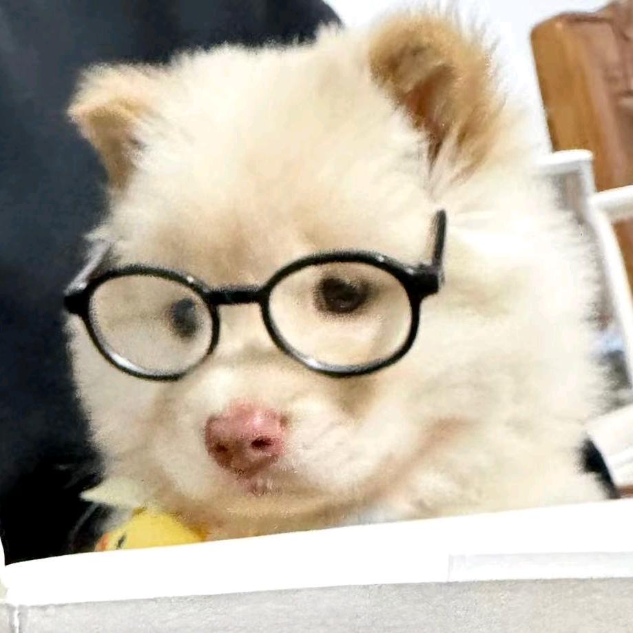 小鱼