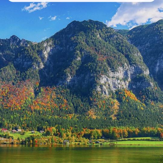 金磨泉石磨面业有限公司