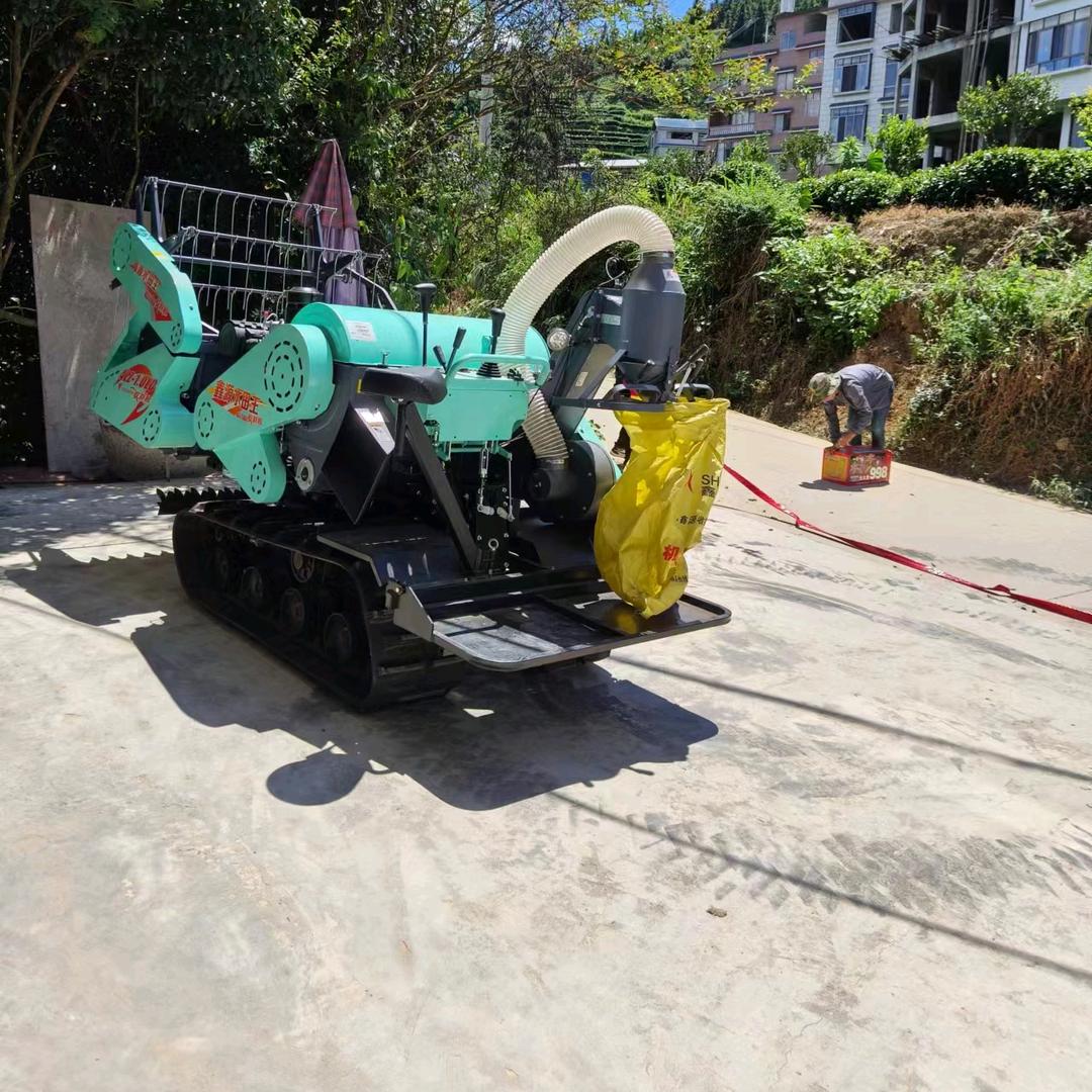 一米阳光🌞🌞