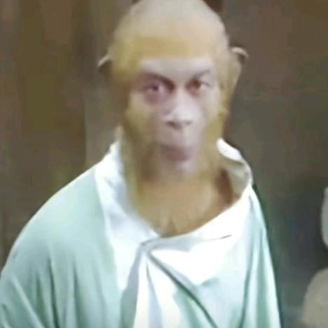 石锅霸王龙脊背多宝莱坞啼霜满天