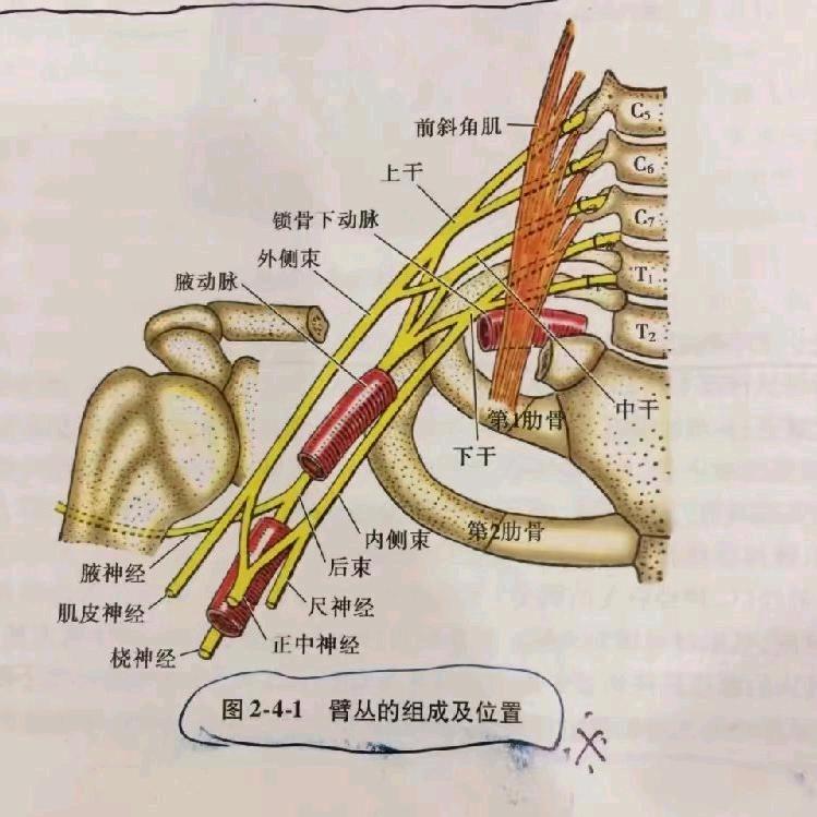 沈阳长白万象汇双口大师