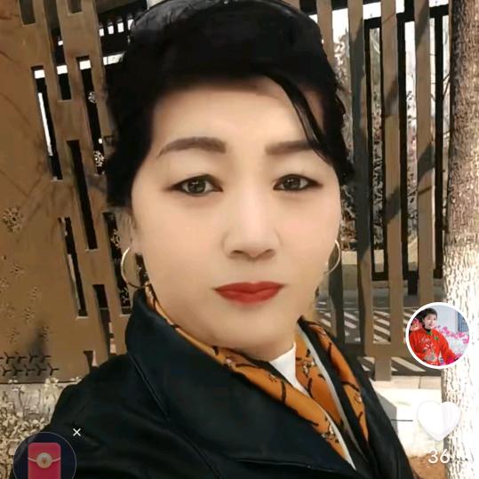 心菲