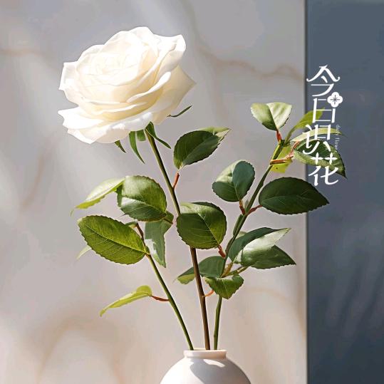 天涯海角