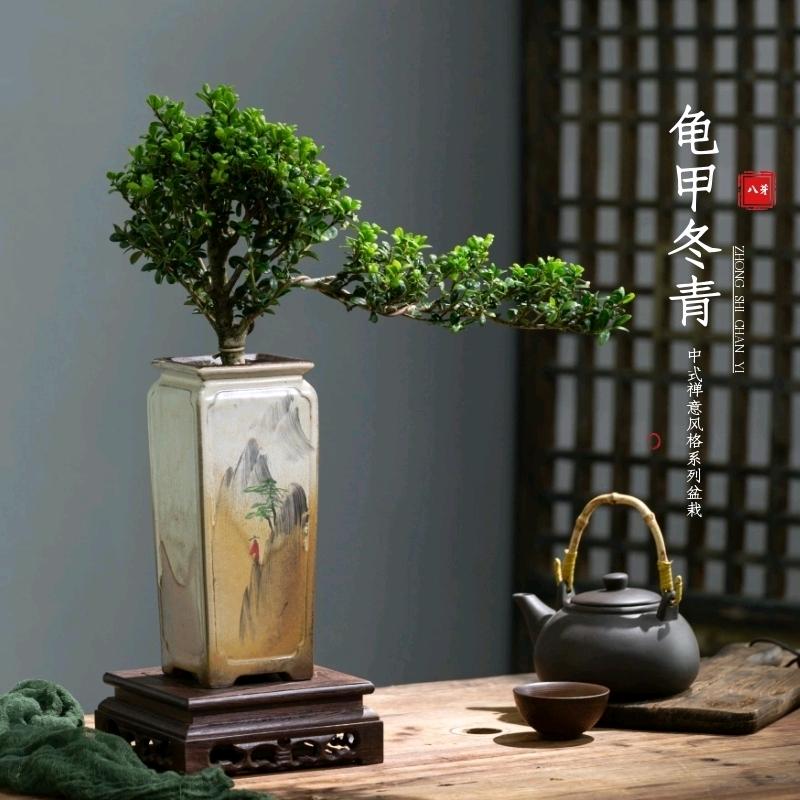 无忧e