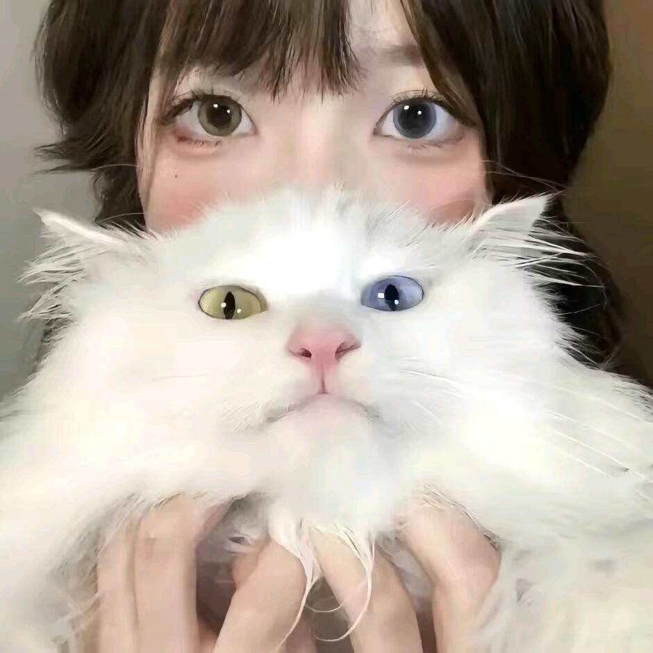 鱼鱼🐟