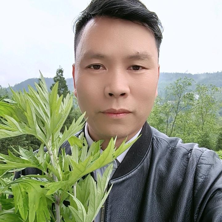 🌿二哥说百草🌿