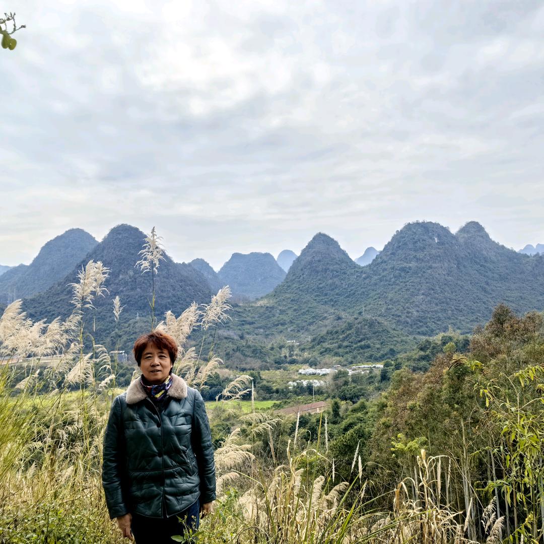 床车自驾游