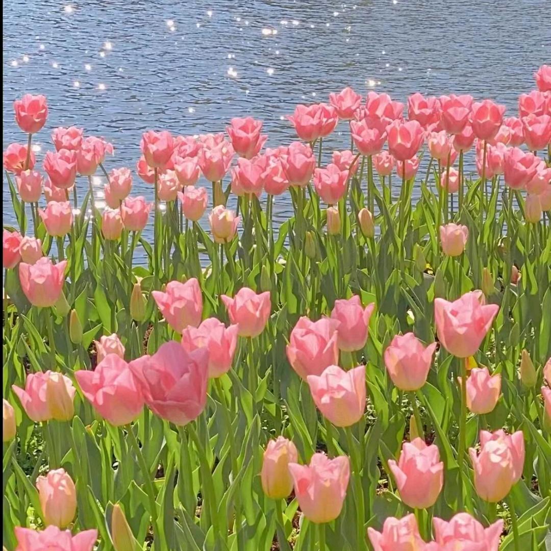 💖花好月圆🎉