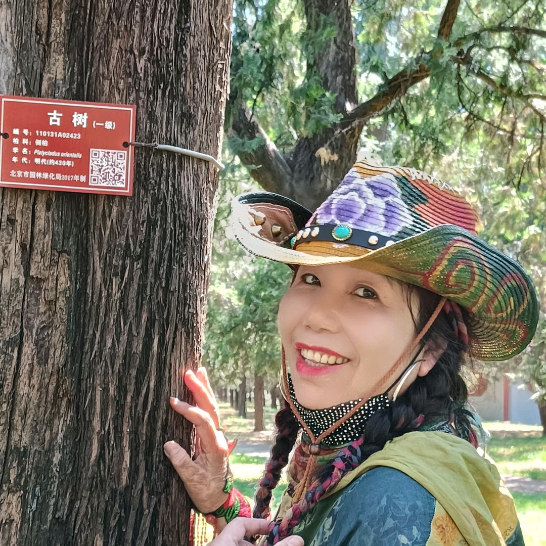 淡墨青衫