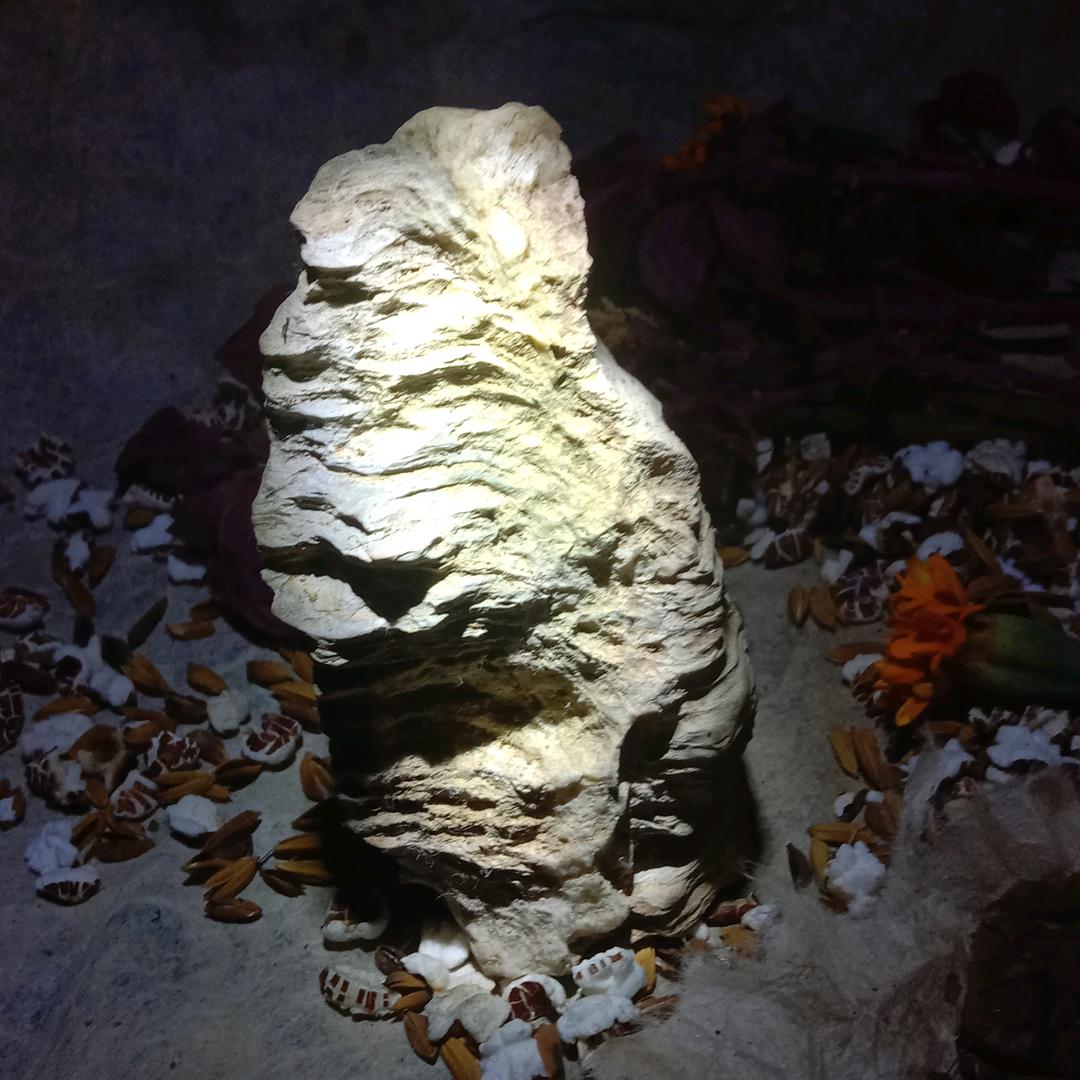 鲍家弟二十二人