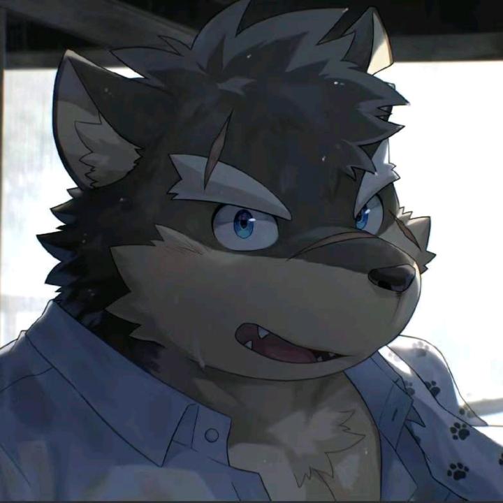 魁魁