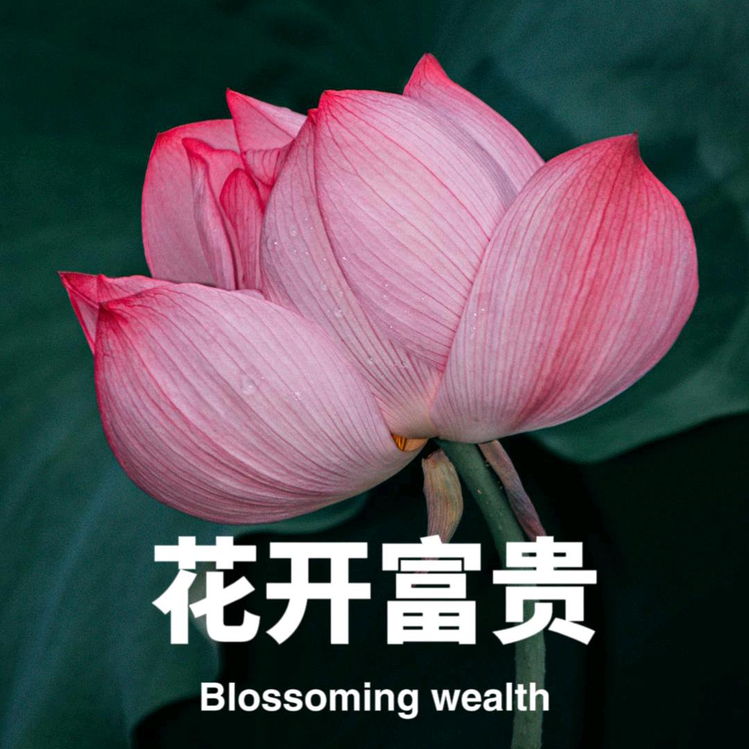 春暖花开
