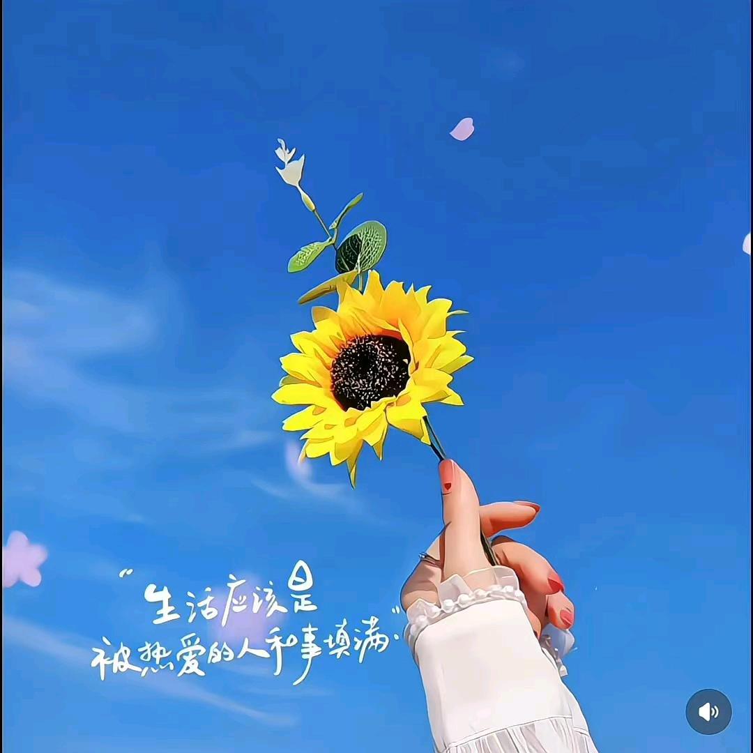 幸运§龍♛