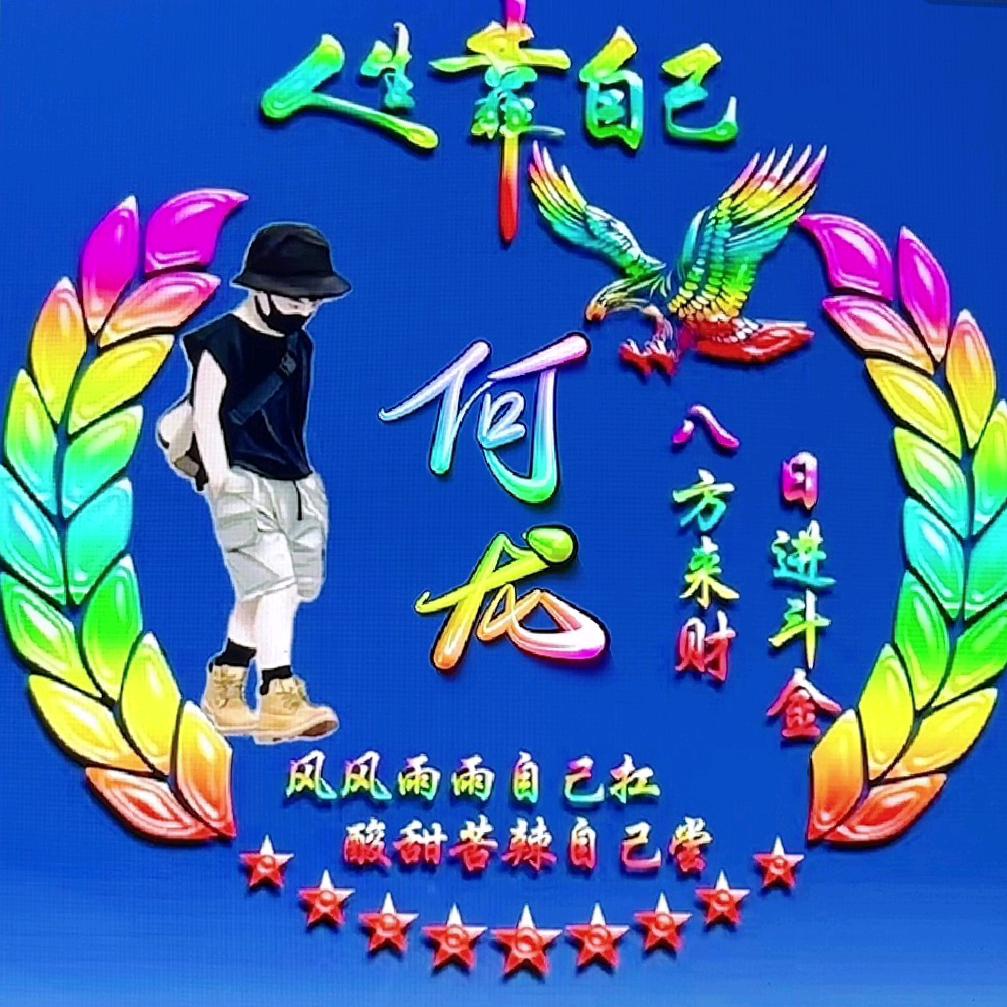何龙