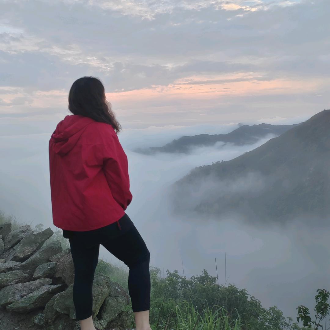 自由❤️随心
