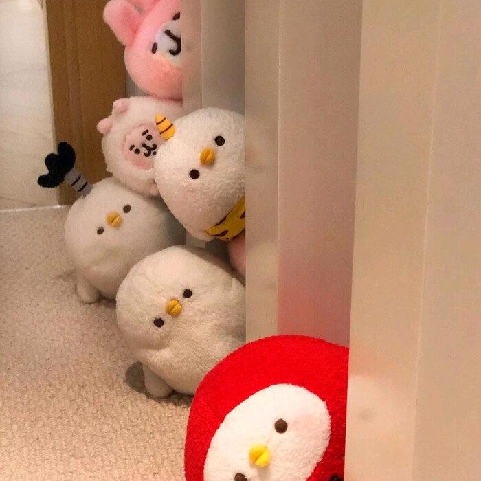 我的小可爱❤️