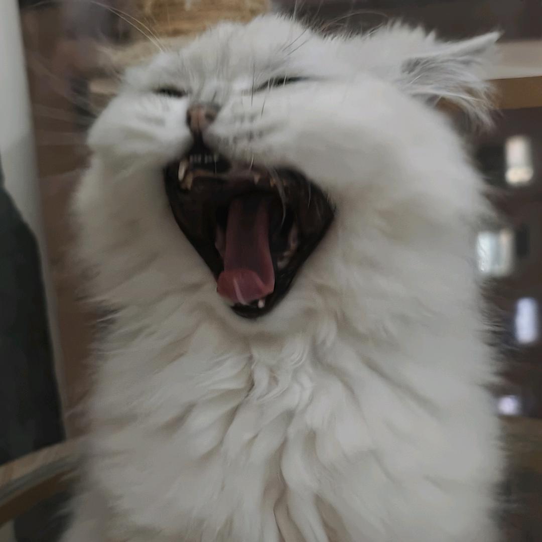 RuoBon