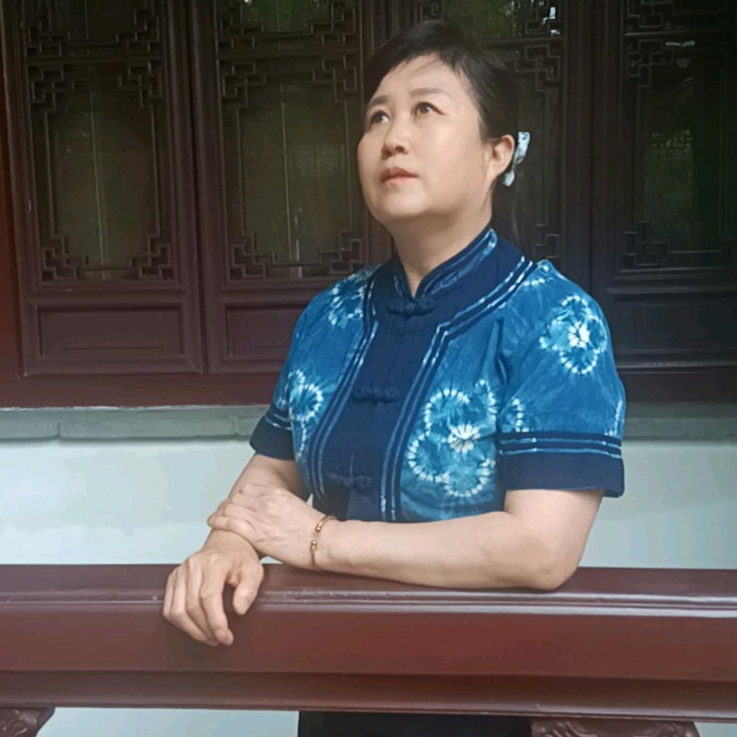 南燕北飞
