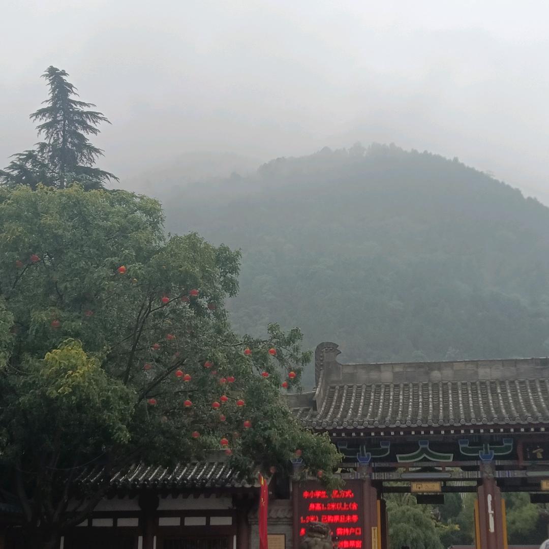 无语ヽ（・＿・；)ノ