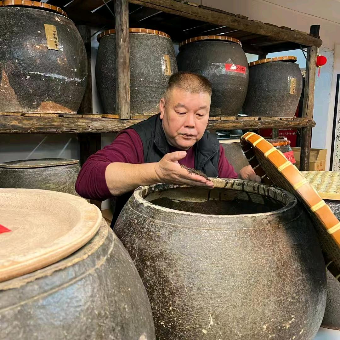 明哥熟茶·好茶分享