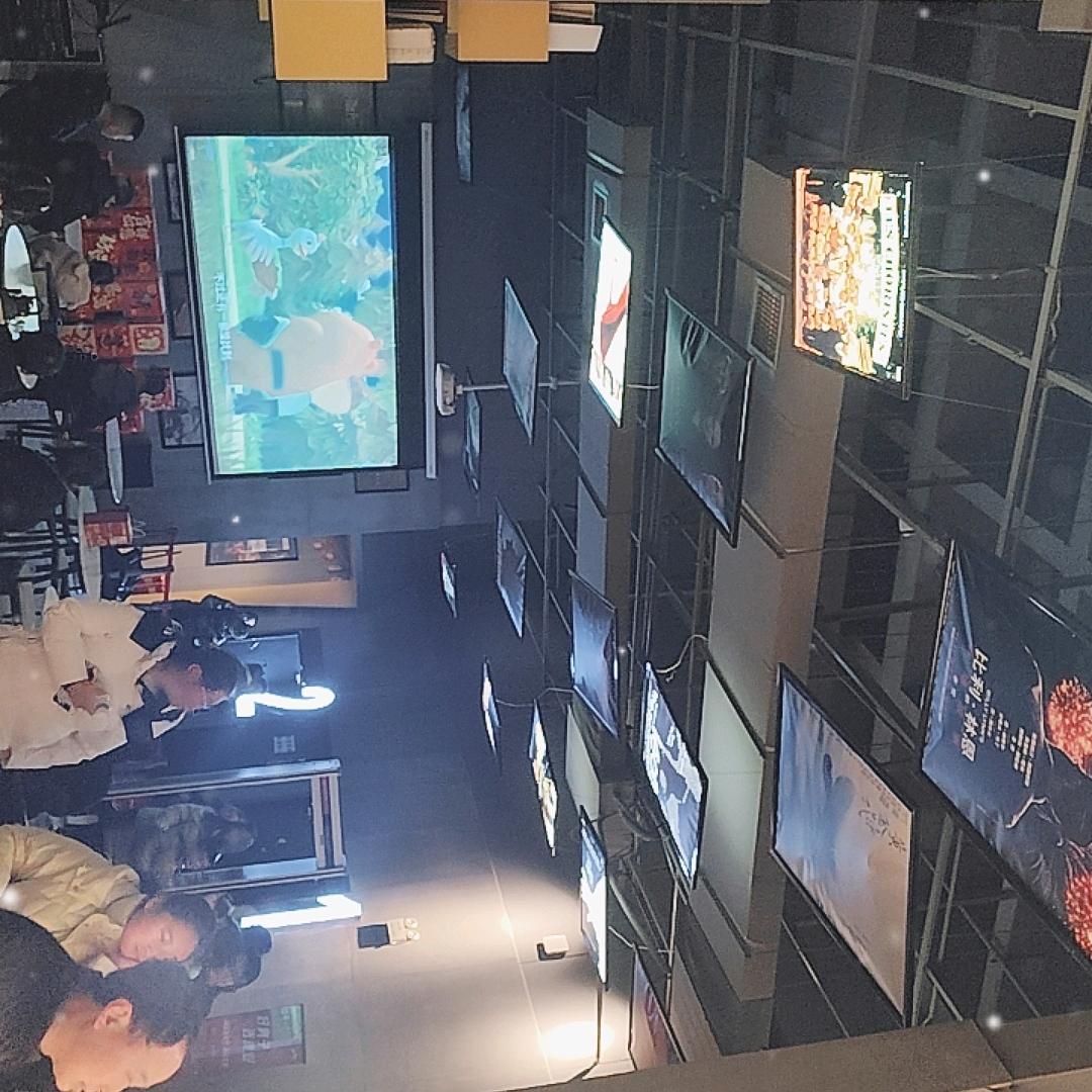 新蔡县叁维影城