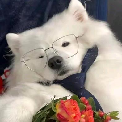 玖€€€羊《在蓝海里听风》