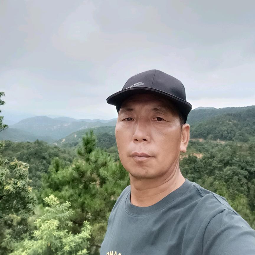 拼博(电焊681246)