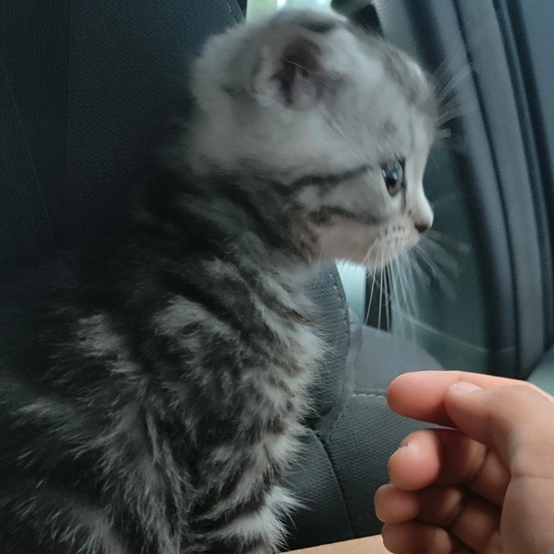 昵称又又又被用