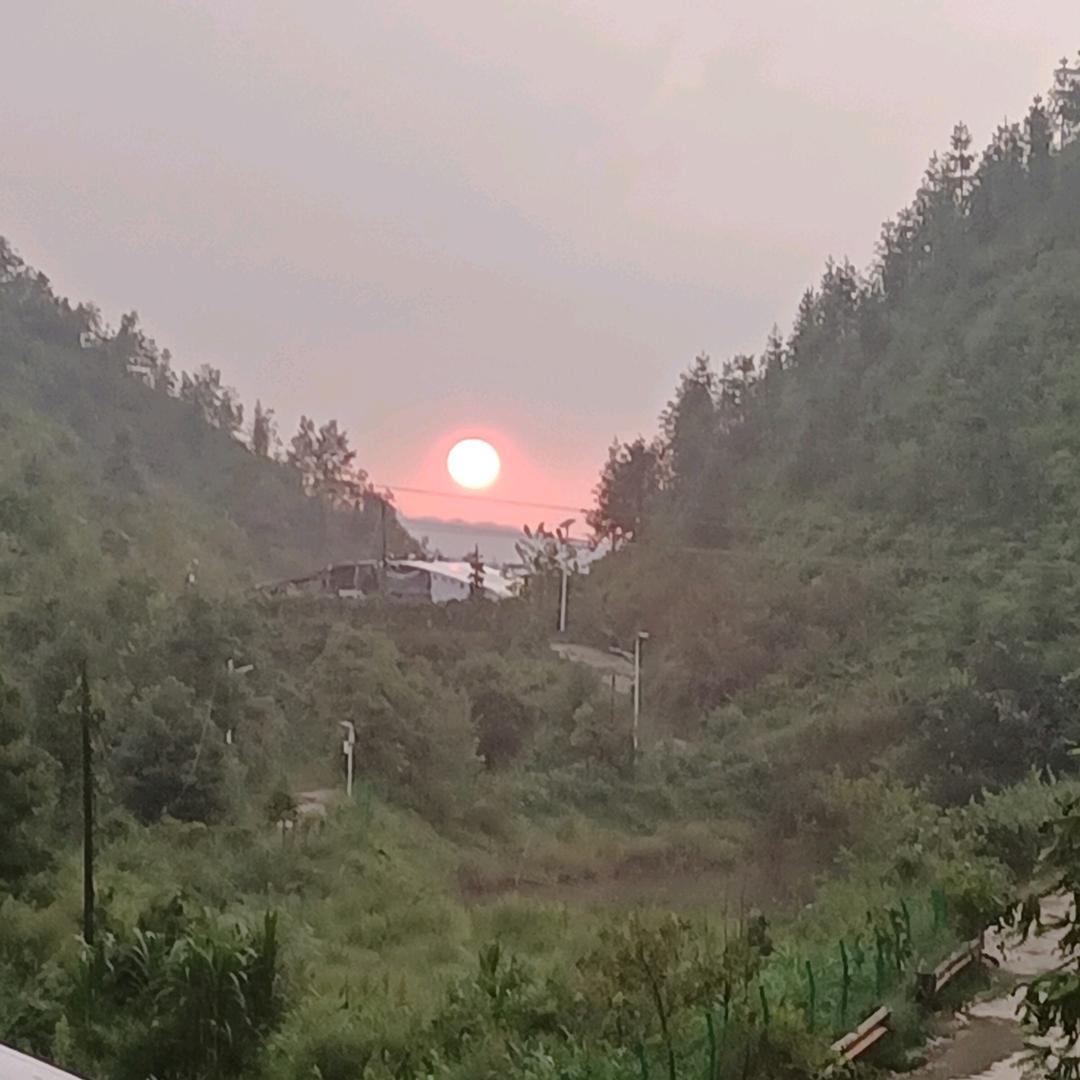 琴姐