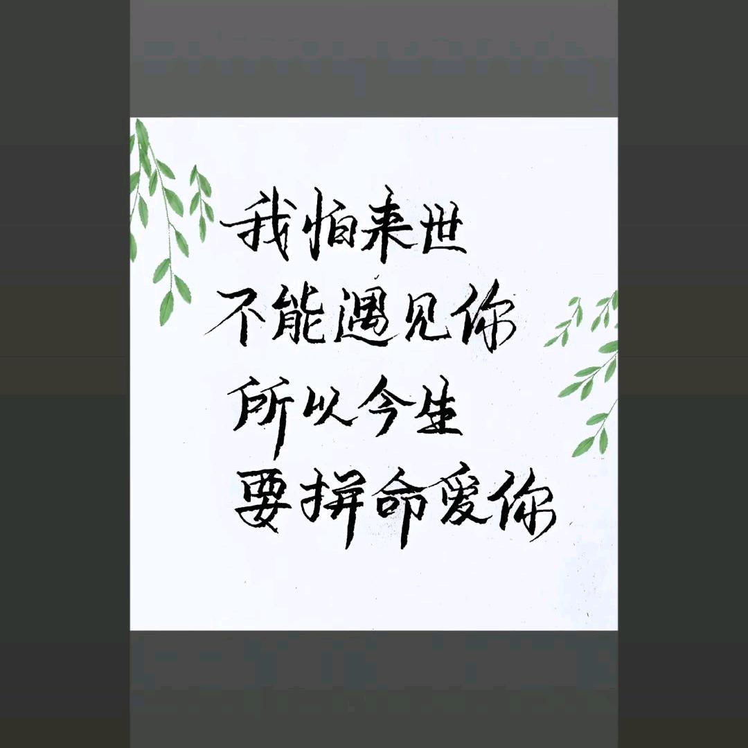 抖音小白