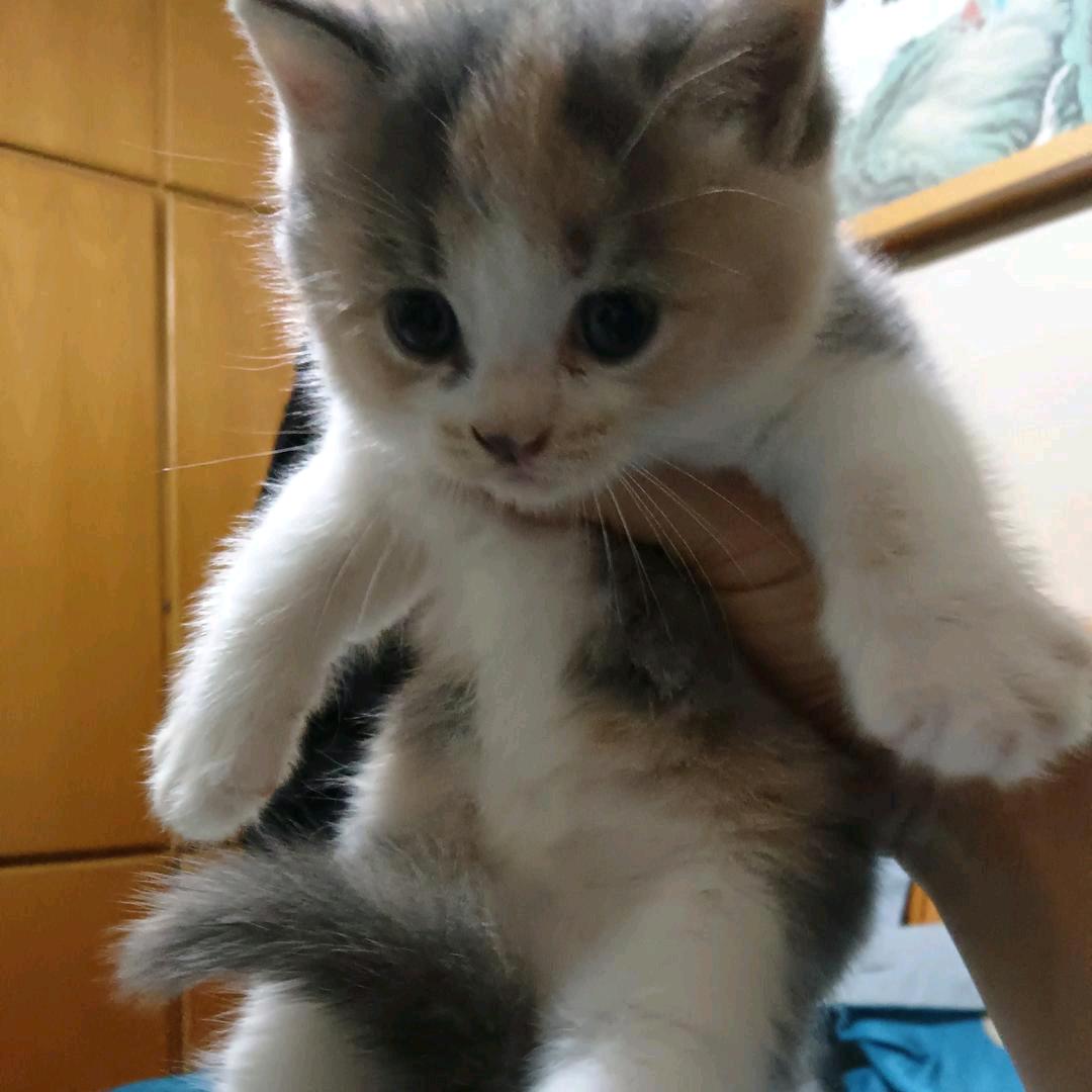 好好爱自己💅👄