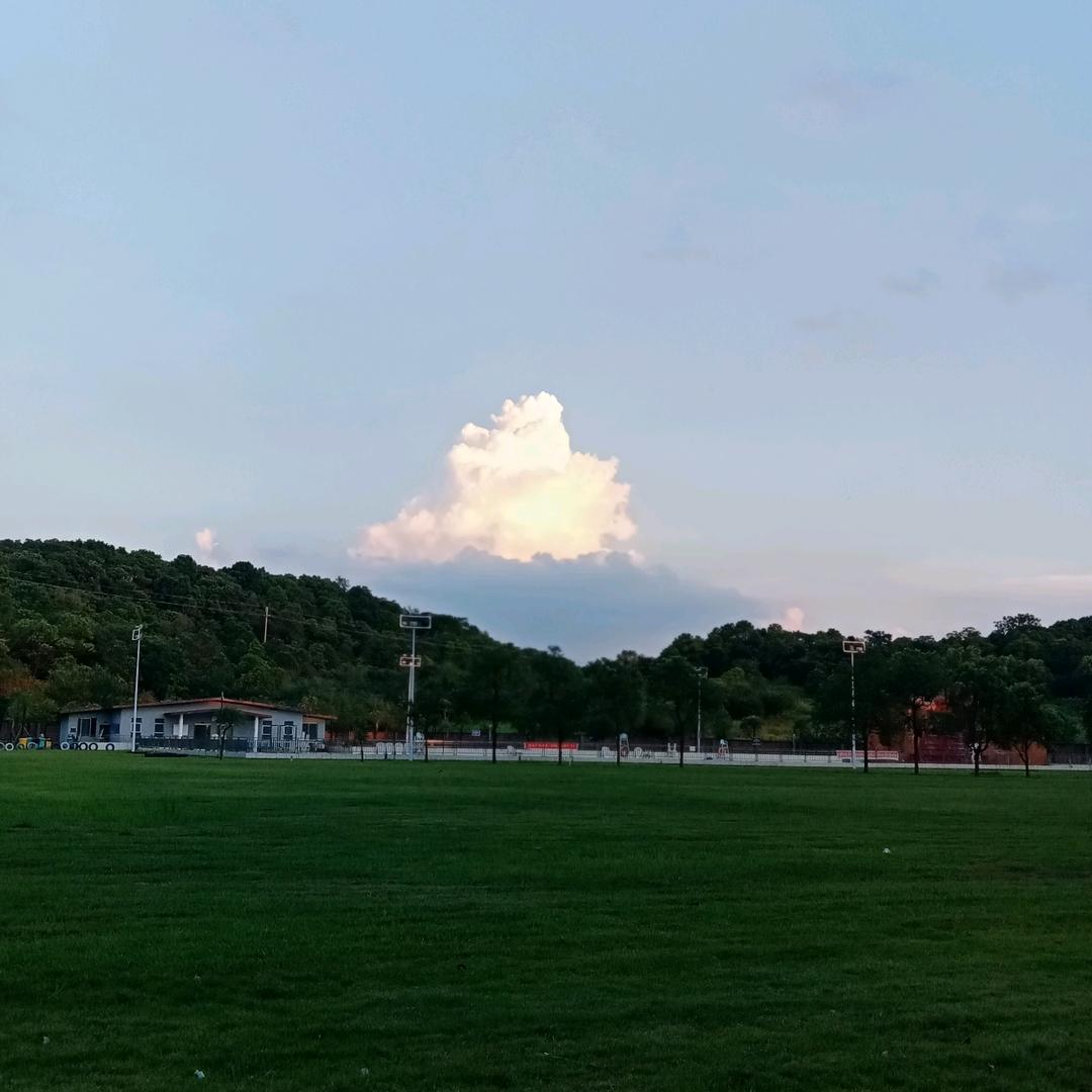 感恩有你