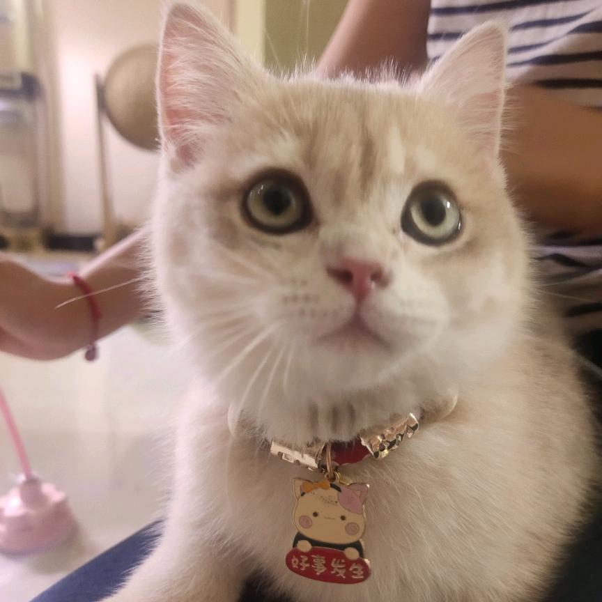 小满