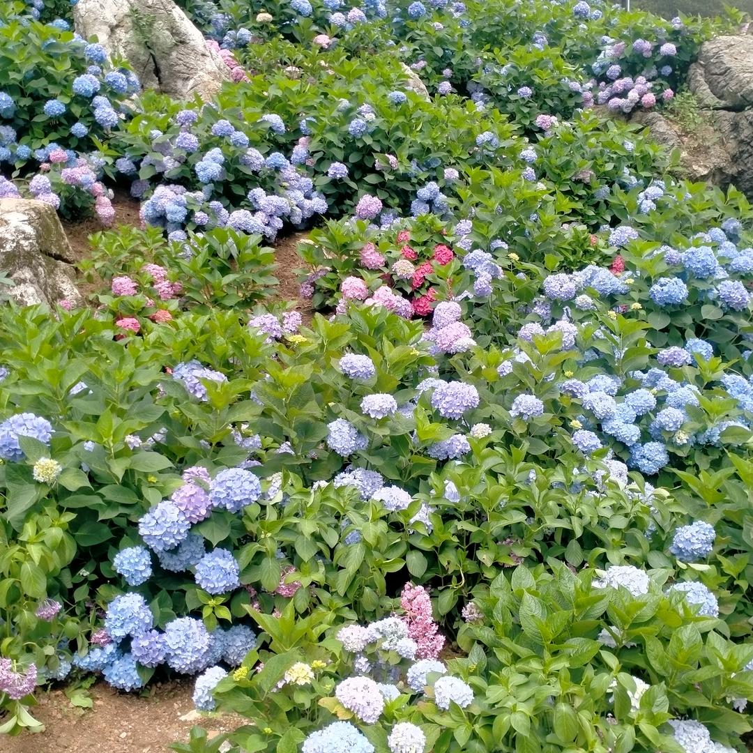 账号已注销