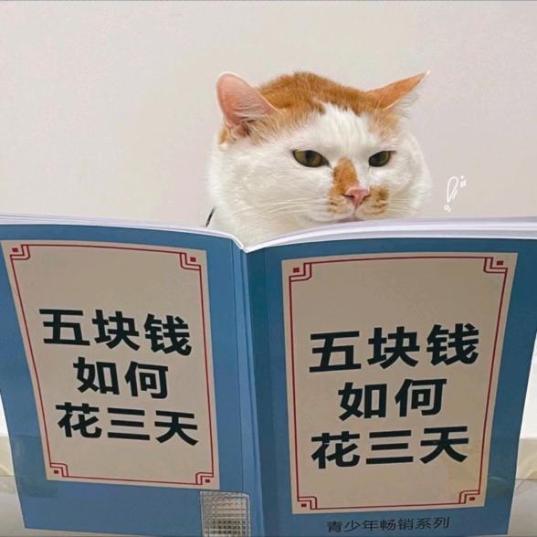 山西点诚商超策划