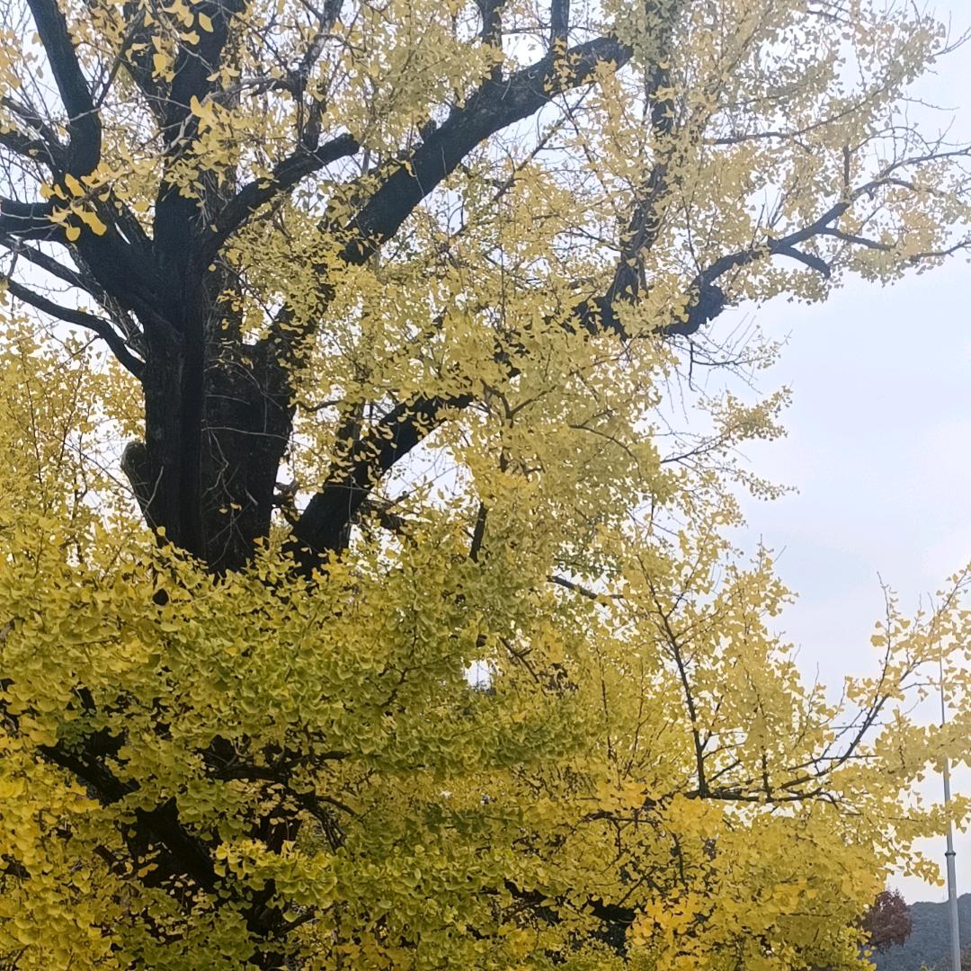 我很好