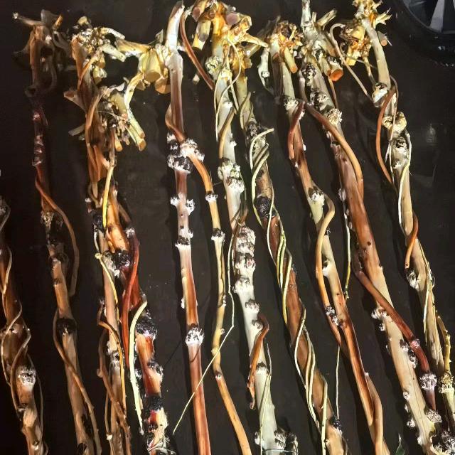振东根艺