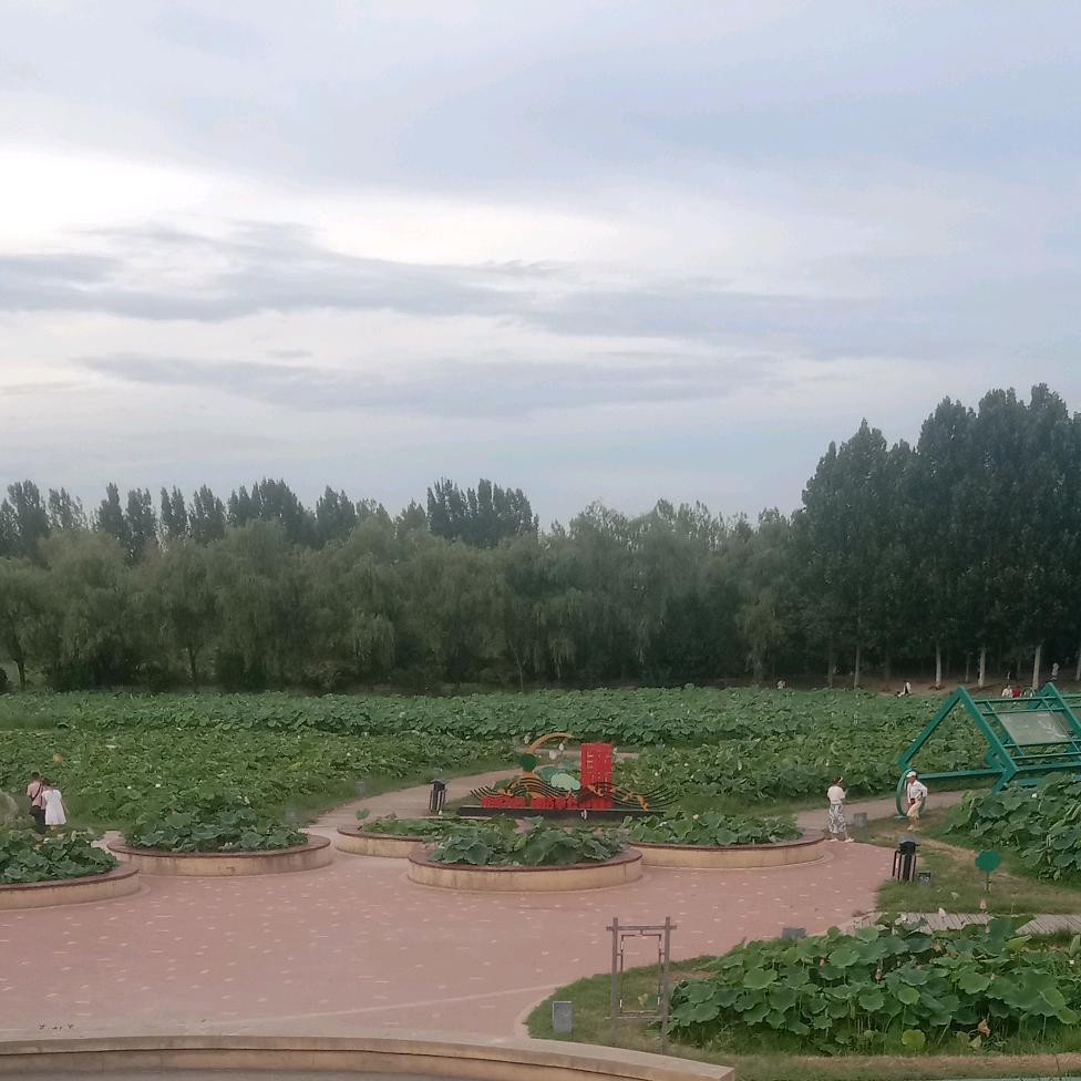 福星高照