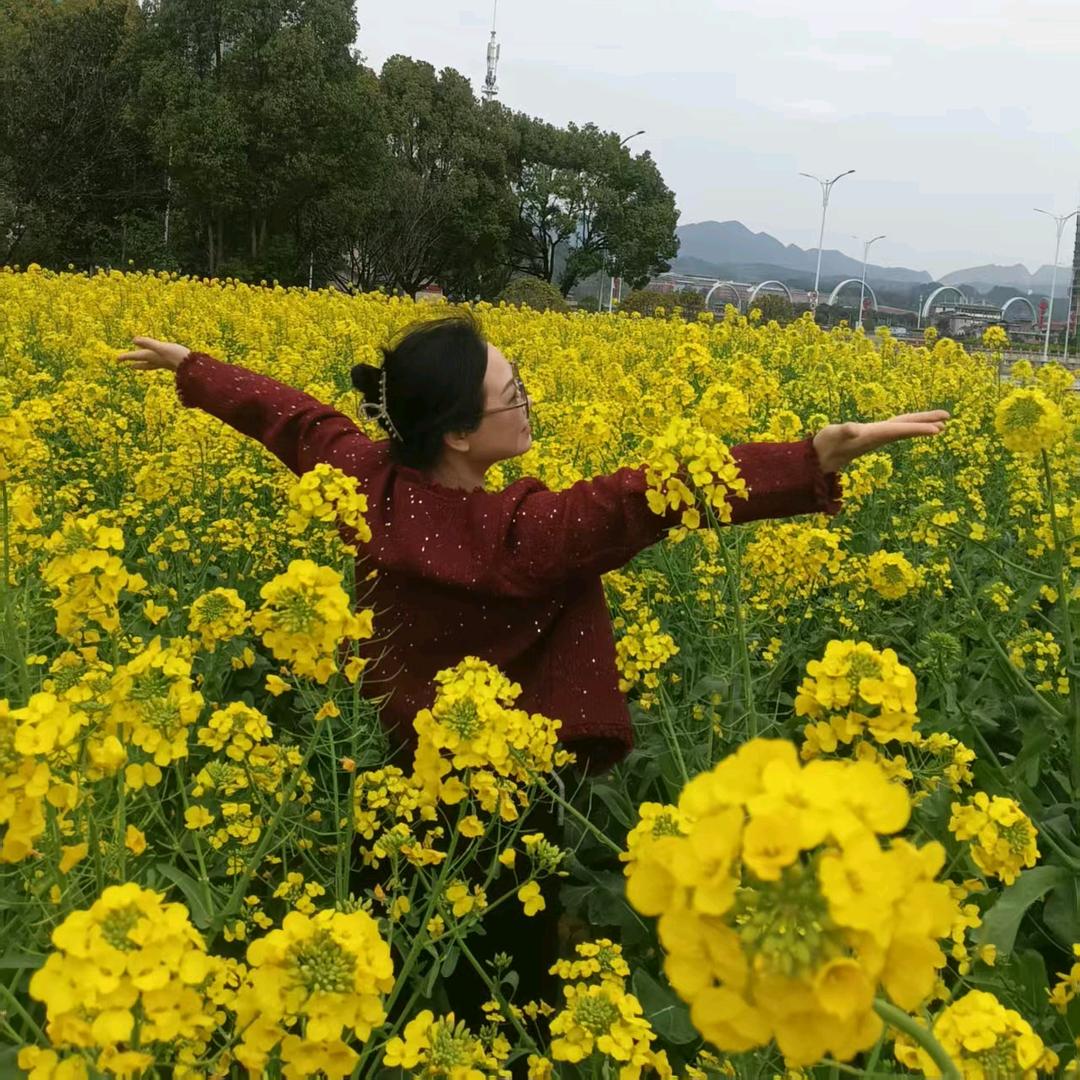 qingqing