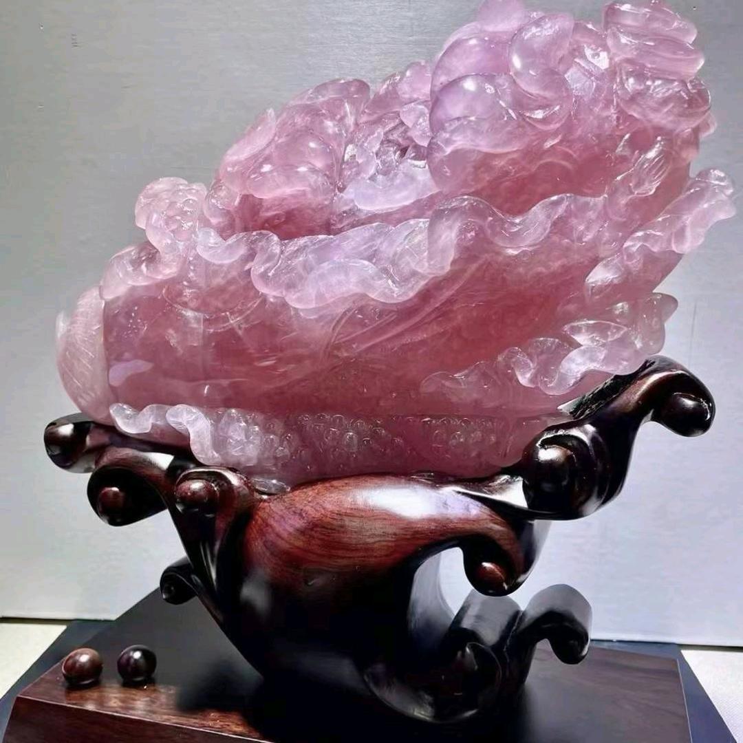 专注好物精选铺