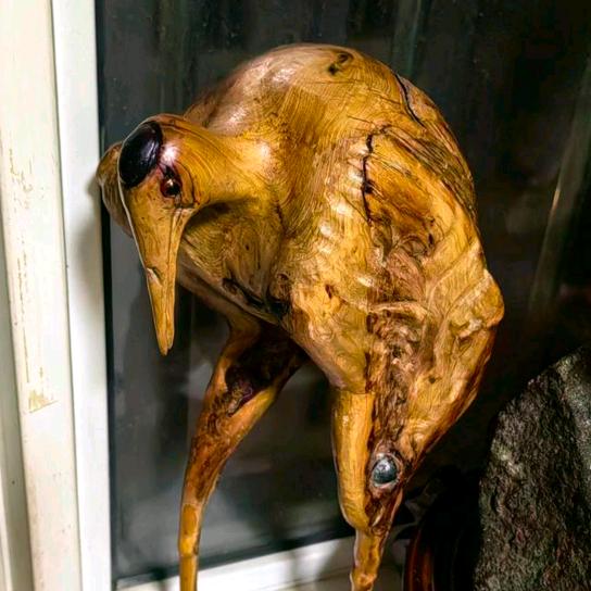 风生启航
