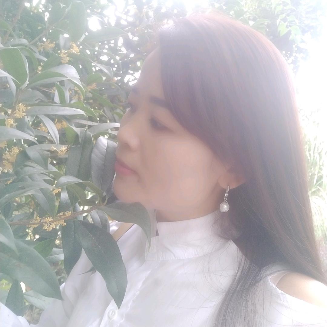 💐((🌺各自⥎安好🌺))