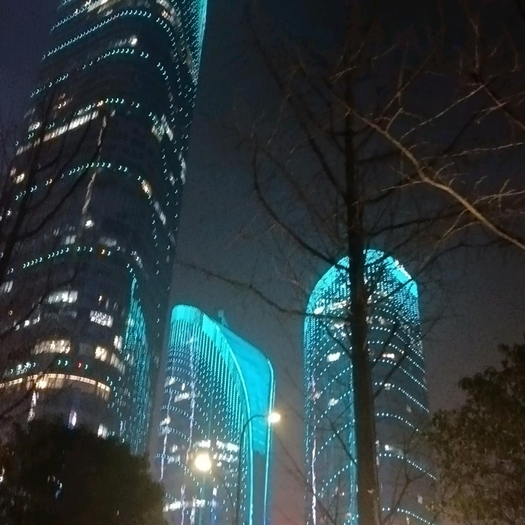 小猫爱吃鱼🐟