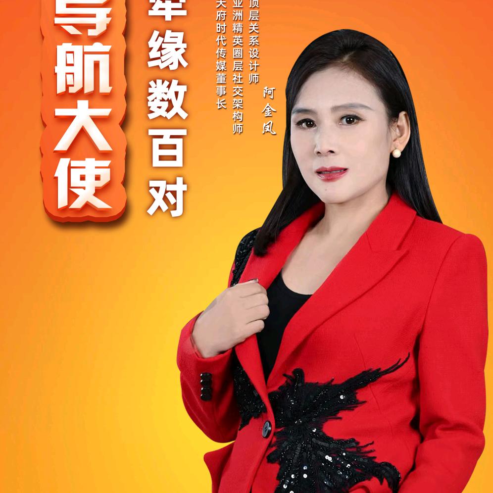 53姐新号阿金凤