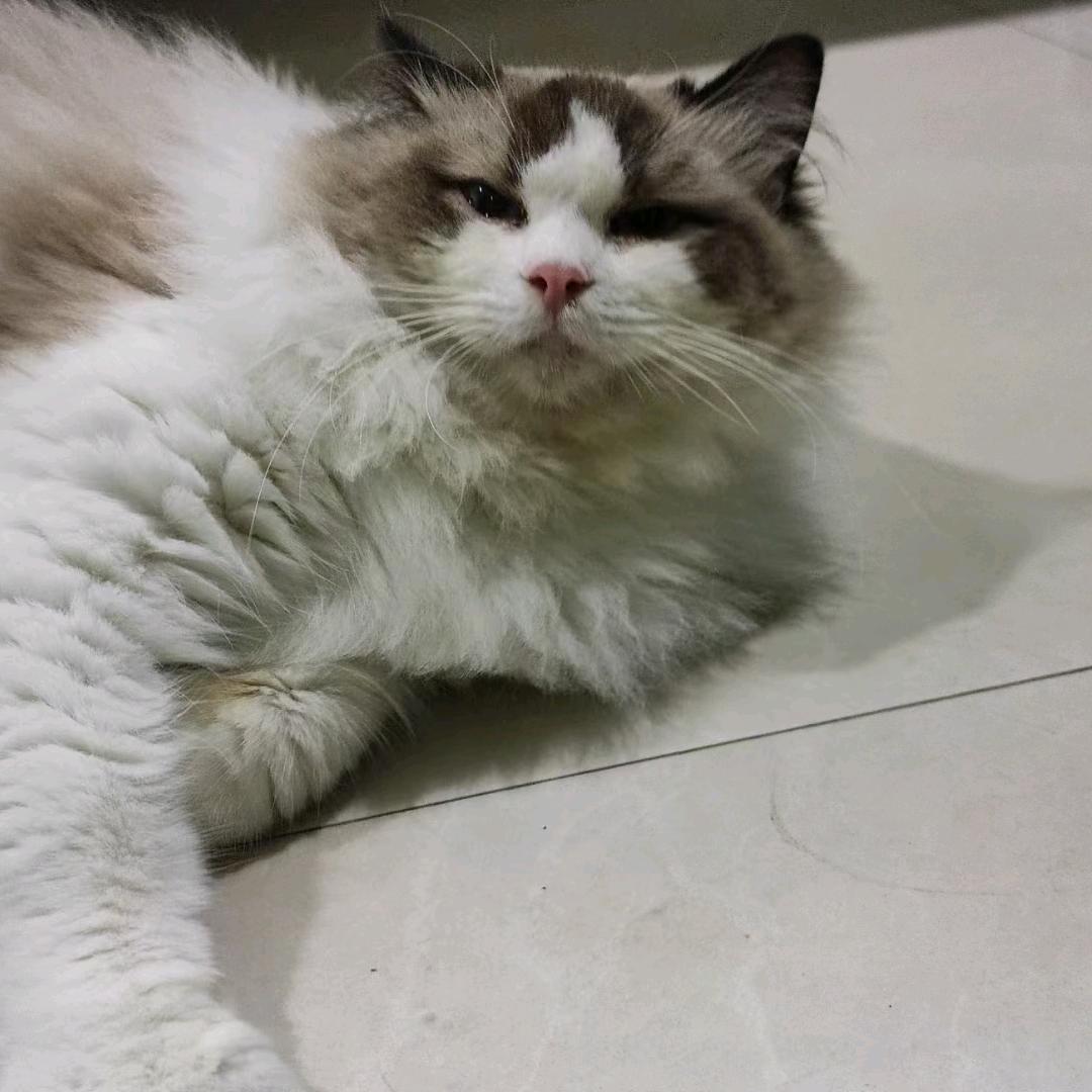 意兴阑珊【接跑刀】