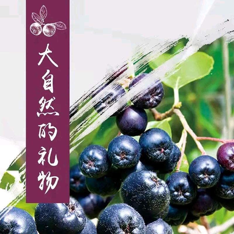 开心不老莓