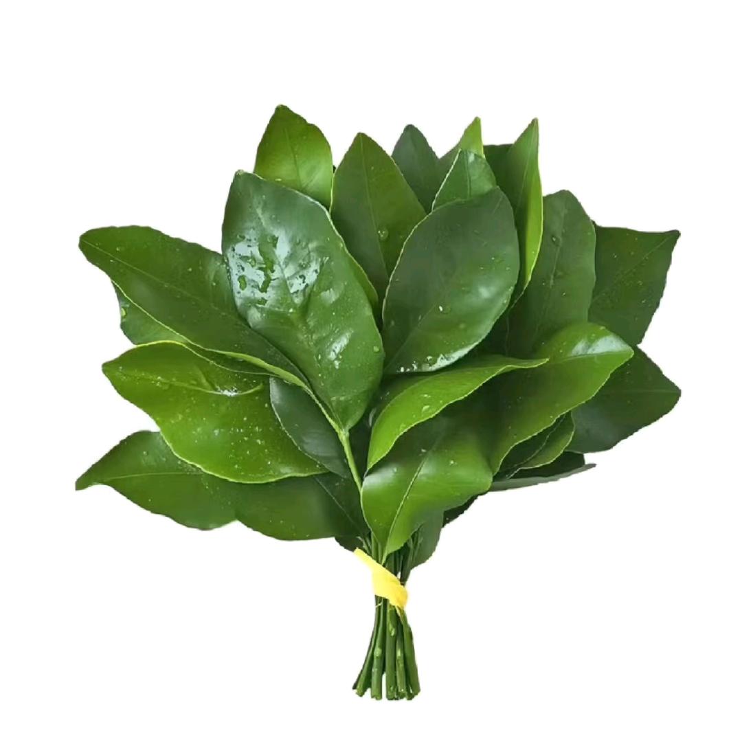 TzuHsuan_Chia