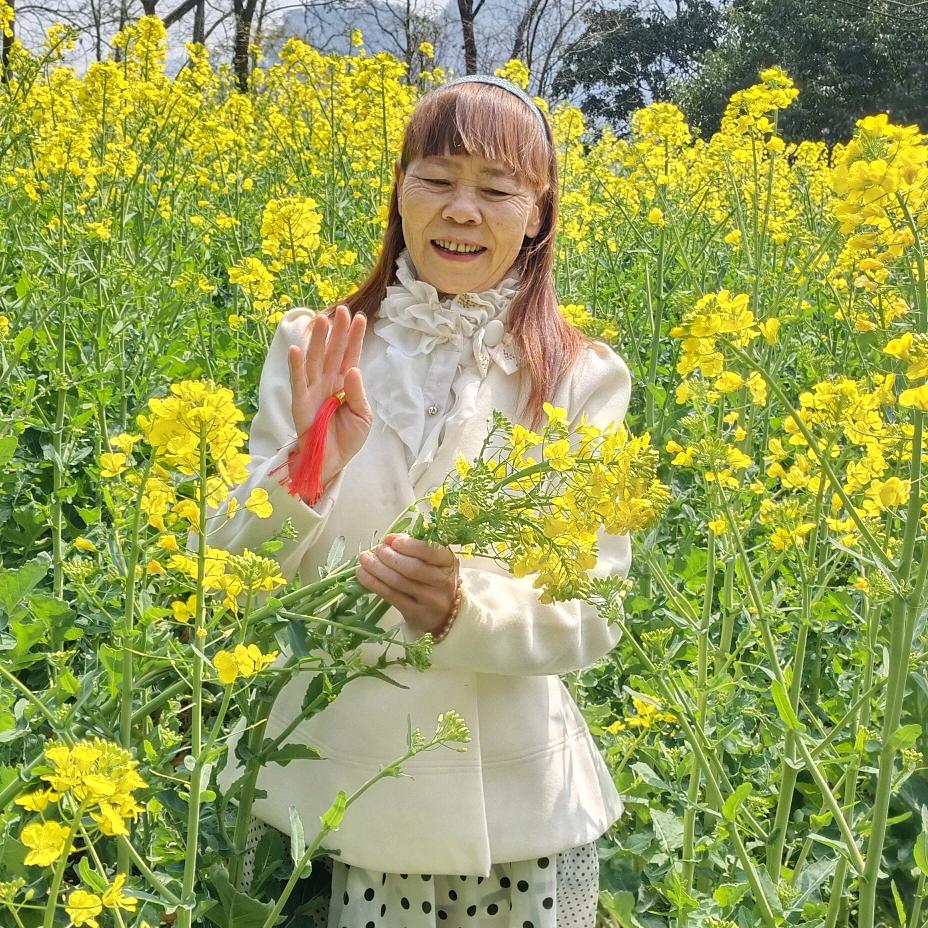 卖茶叶和山胡椒花好月圆